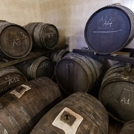 Agriturismo San Polo Alloggio per agriturismo Castelvetro di Modena